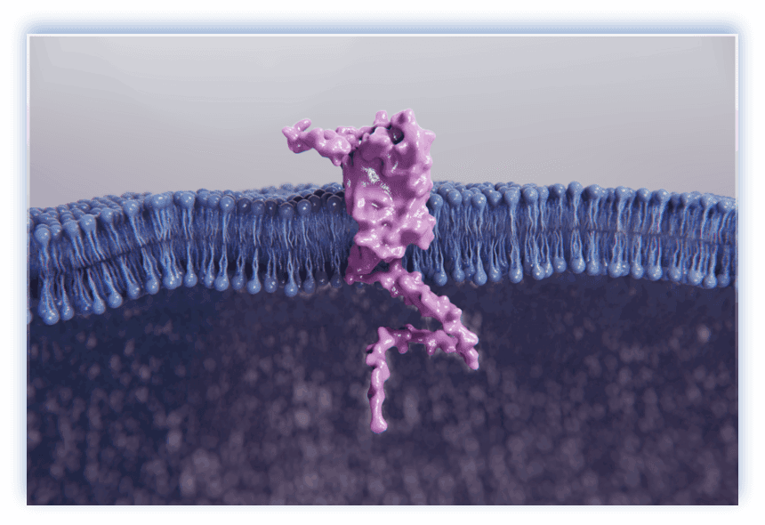 GPRC5D protein simulation